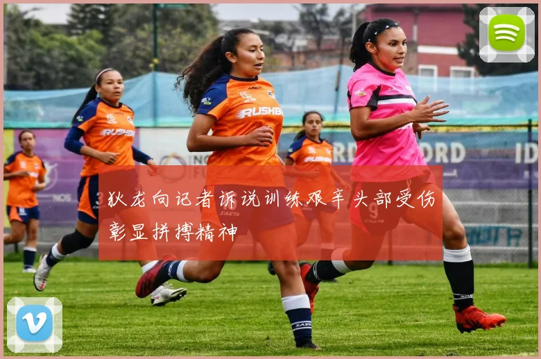 狄龙向记者诉说训练艰辛头部受伤彰显拼搏精神