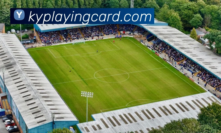 多媒体互动体验